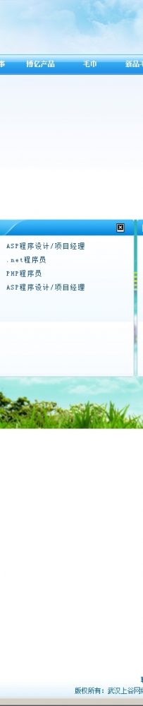 ASPCMS蓝色软件公司网站模板ASPCMSMF0007.zip