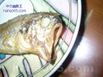 残忍！被活活炸死的鱼