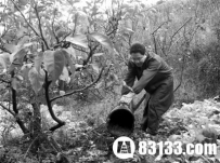 隐姓埋名的英雄张国福因何事震惊总参总政？