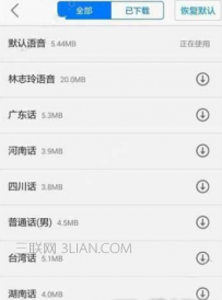 手机高德导航没有声音