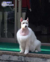 发型影响气质呀