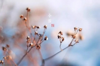 小雪节气的气象条件与农事摘要