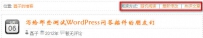 WordPress博客手动选择文章阅读方式