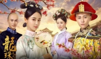 电视剧《龙珠传奇之无间道》全集 剧情介绍 在线观看资源