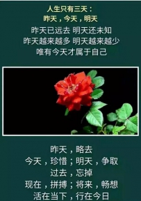 昨天，今天，明天......太 绝 了！
