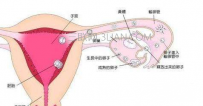 排卵期白带褐色是怎么回事