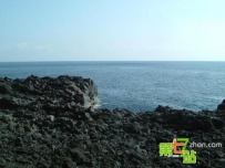 世界上最离奇古怪的岛屿 娃娃挂树上