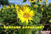手机相册存在手机那里
