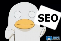 现在SEO优化需要哪些能力