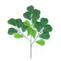 中草药大全―葫芦叶