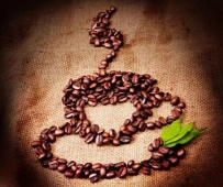 星巴克Starbucks首家海外咖啡烘焙工坊将落户上海