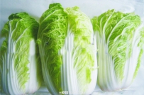 如何预防大白菜干烧心