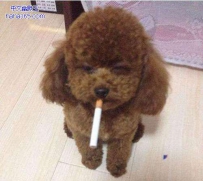 还愣着干嘛？给我点火啊！