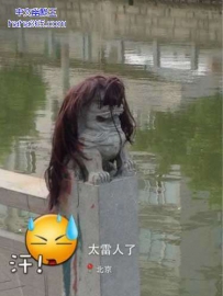 昨晚看到它，我和我的小伙伴都吓尿了