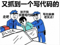 又抓到个写代码的又抓到一个偷源码的