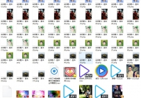 愿得一人心 素材包