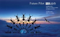 向蚂蚁学习，团队才能做大