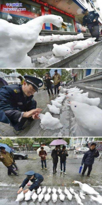 都是有才的人啊