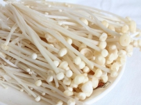 金针菇再生枝的栽培法