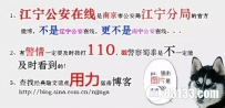 盘点2015年十大网红，网络真是个神奇的世界