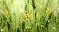 立夏节气农事要点