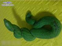 纠结的黄瓜