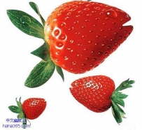 创意食品（23张）