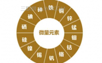 微量元素怎么补充？微量元素缺乏的症状