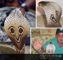 自然界九大