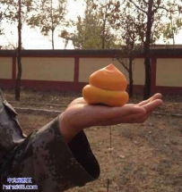 你觉得这柿子会是什么味的