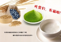 都市翡翠：女孩们的窈窕快车