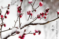 大雪养生原则