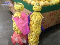 柚子皮艺术