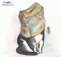 纸盒不及时丢掉会长猫哦~（9张）