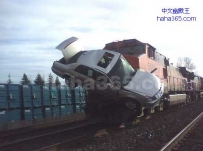 跟我斗，你找死啊