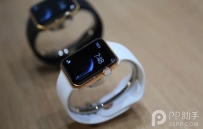 Apple Watch购买攻略