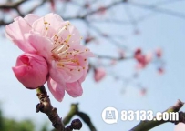 关于立春之后的养生之道，生命的延长之道！