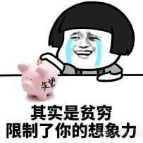 这些面膜除了贵到用不起 没别的毛病