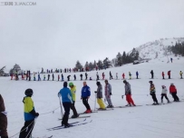 世界最长的滑雪者组成的图形的吉尼斯世界纪录