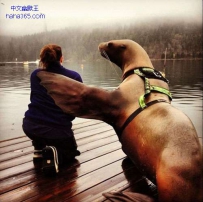 你信不信我一掌拍你下水