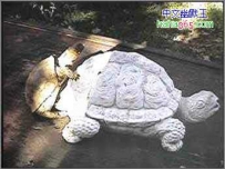 这误会大了