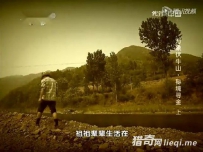 震撼 河南农民伏牛山溪中捕鱼 发现巨大天然黄金
