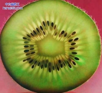 栩栩如生的水果鲜花超大油画（7张）