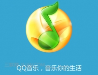 qq音乐搜索不到歌曲