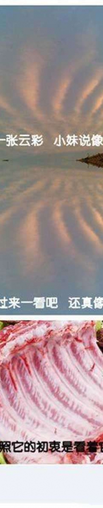 吃货的世界