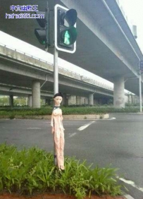 谁的媳妇拿出来晒了