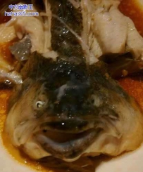 吃饭时，我被这条鱼吓到了