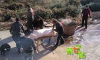 民间八大通灵事物 为何一碰就中邪
