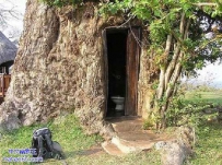 厕所建的有点暴露