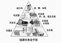 孕妇食谱：参考“食物金字塔”防止进补过量
